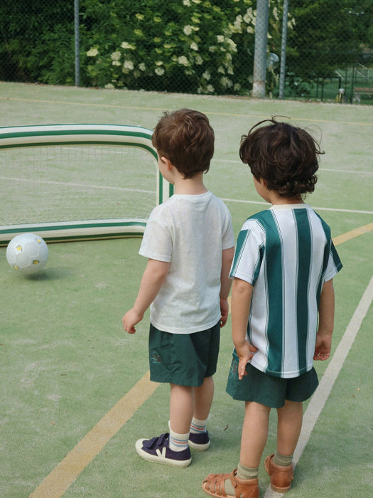 Inflatable Goal Green Stripe with Ball