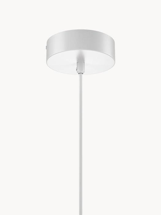Pendant Light Bloom