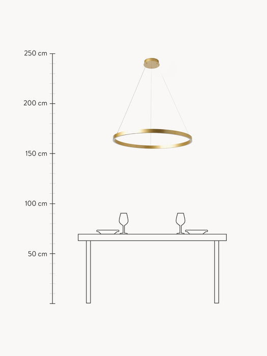 Large LED Pendant Light Rim