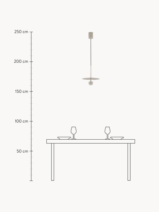 LED Pendant Light Edem