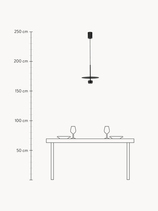 LED Pendant Light Edem