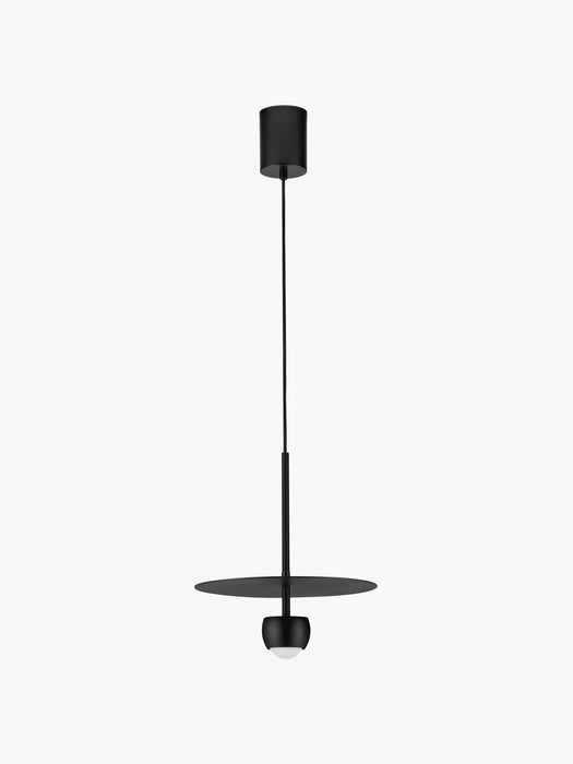 LED Pendant Light Edem
