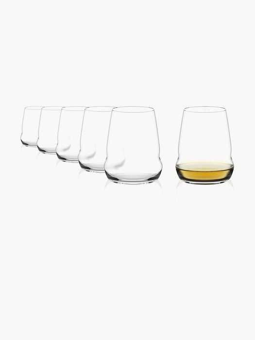 Crystal Tumblers Cocoon Set of 6