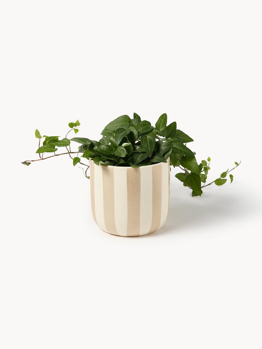 Hand-Painted Cover Pot Ellen H 15 cm