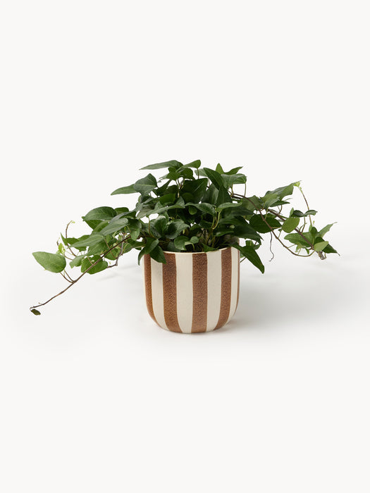 Hand-Painted Cover Pot Ellen H 12 cm