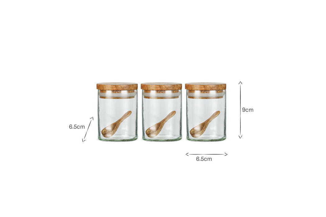 Izaan Spice Jar Clear Set Of 3