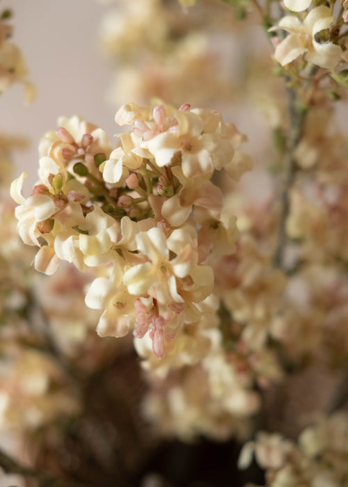 Elara Vase with Faux Blush Stems