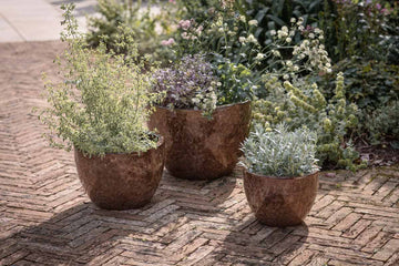 Dunai Terracotta Planter - Brown