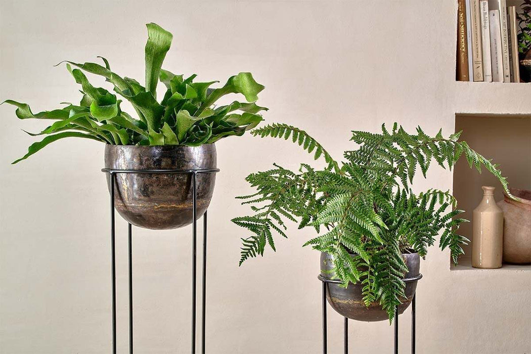 Endo Reclaimed Iron Planter Stand