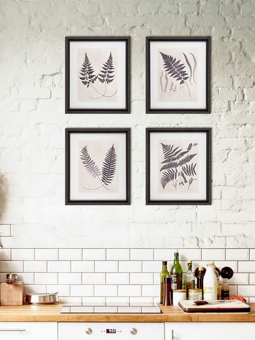Vintage Ferns III Framed Picture