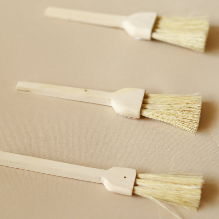 Organic Lifestyle Long Handle Brush