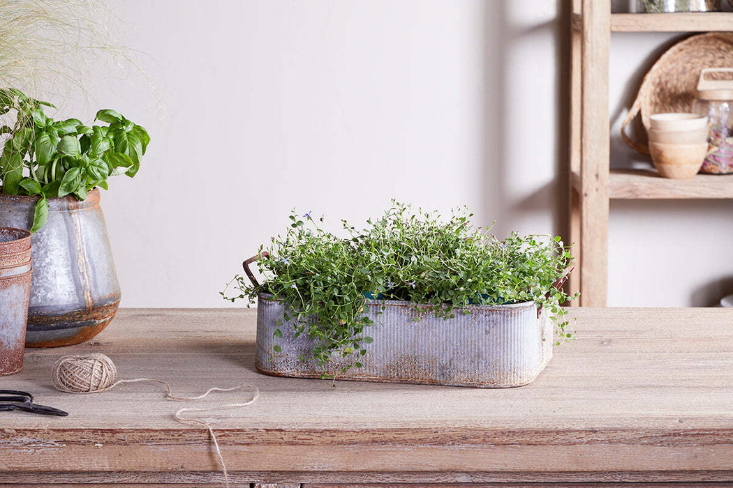 Japos Outdoor Planter Tray Aged Zinc