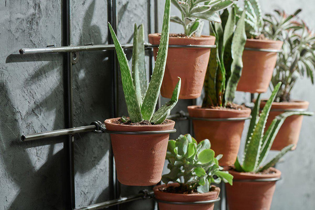 Jara Terracotta Wall Hung Planter