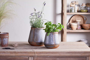 Mamba Outdoor Planter - Aged Zinc