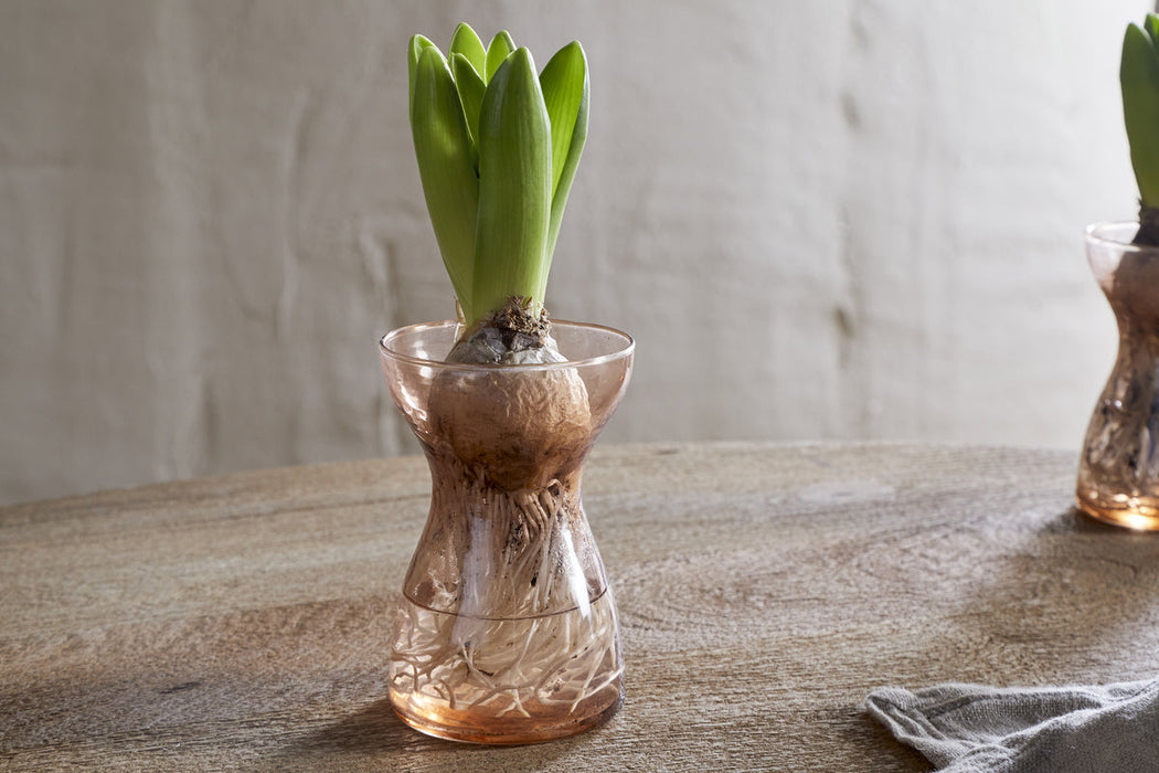 Enir Hyacinth Vase Dusty Terracotta