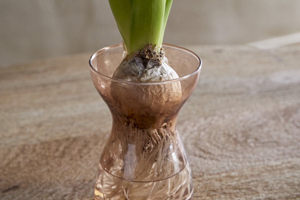 Enir Hyacinth Vase Dusty Terracotta