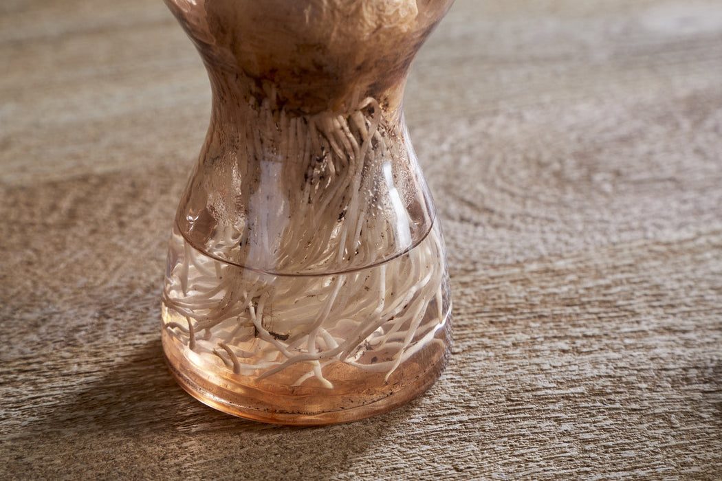 Enir Hyacinth Vase Dusty Terracotta