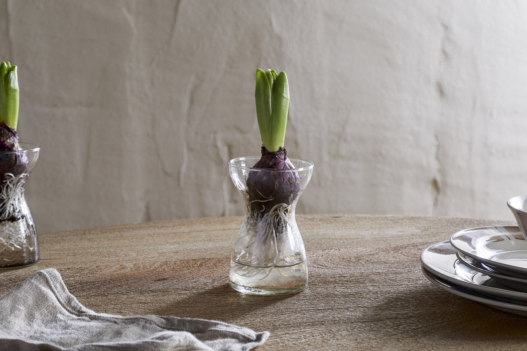 Enir Hyacinth Vase Clear