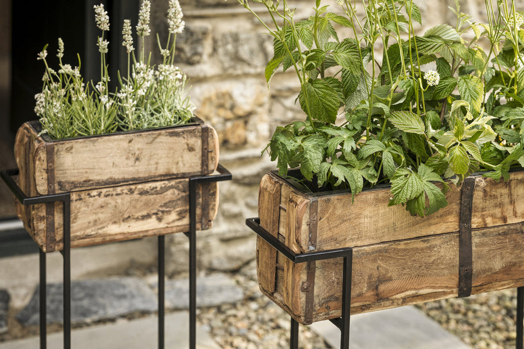 Amazzi Indoor Planter Stand Natural Black