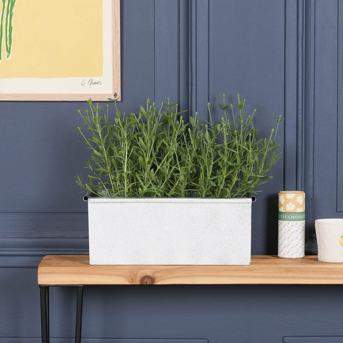 Roll Top White Wash Metal Planter