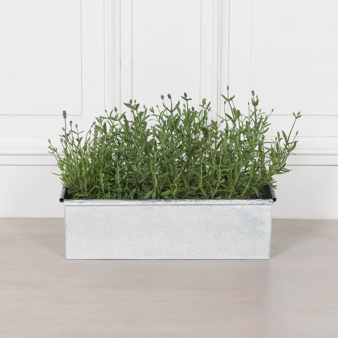 Roll Top White Wash Metal Planter - 44cm