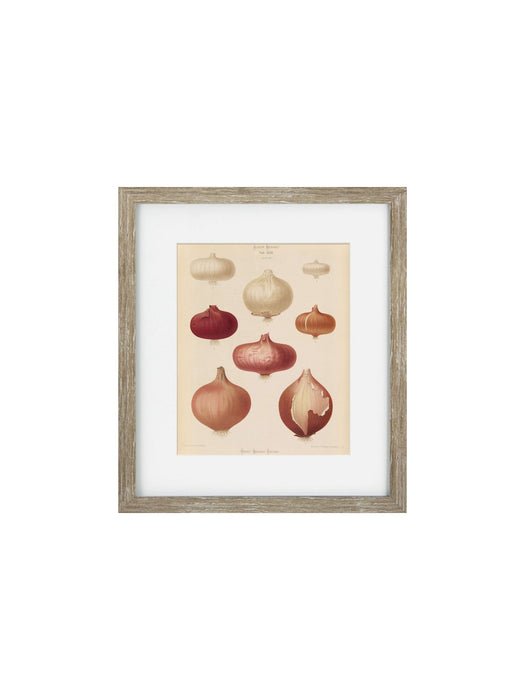 Vintage Veg III Framed Art Print