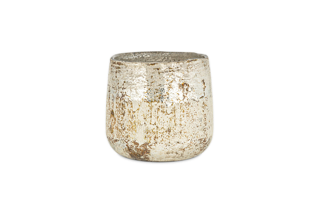 Juniper & Fir 1 Wick Scented Candle - Antique Gold