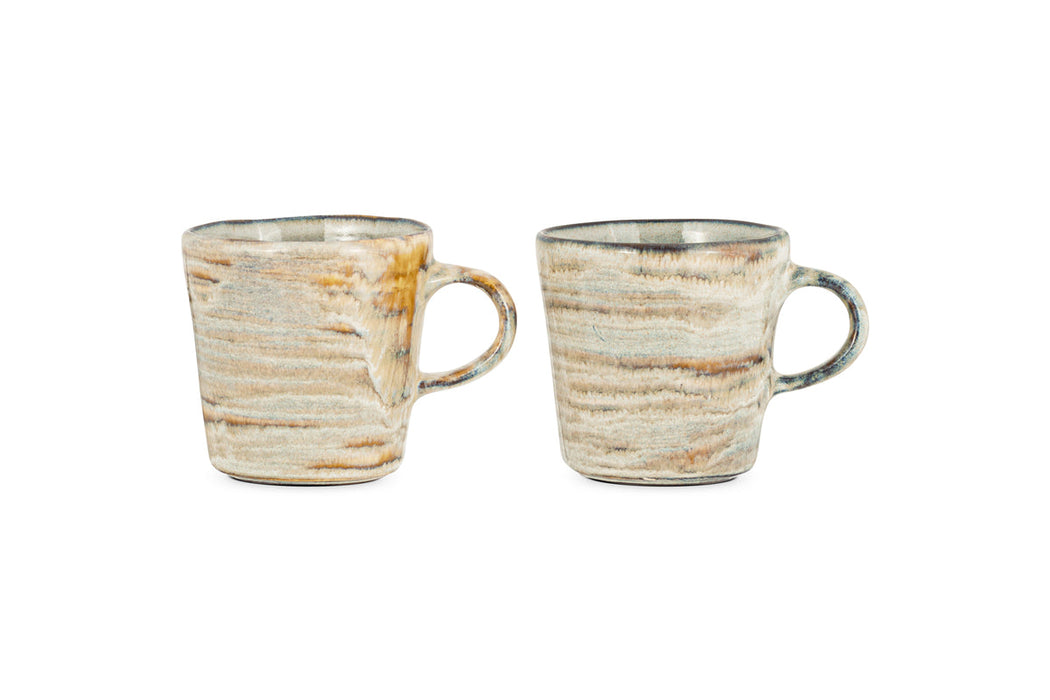 Vizo Mugs Grey Set Of 2