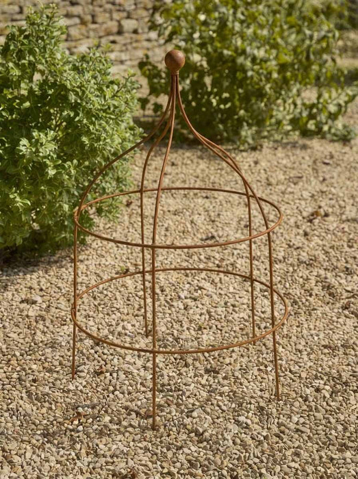 Curvy Metal Plant Support