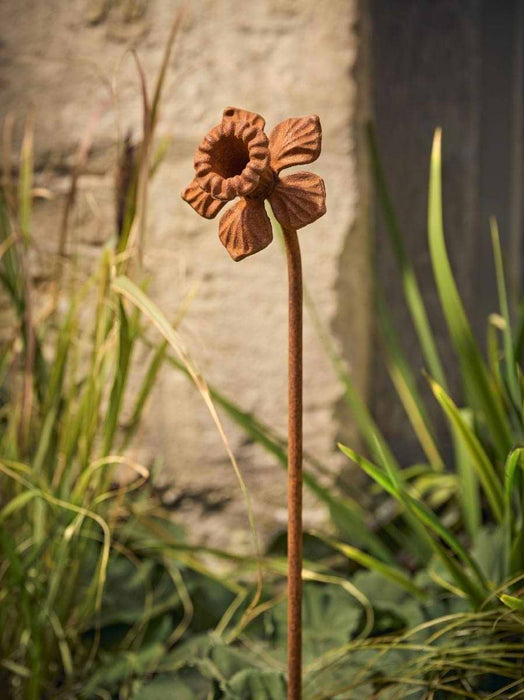 Daffodil Garden Stake