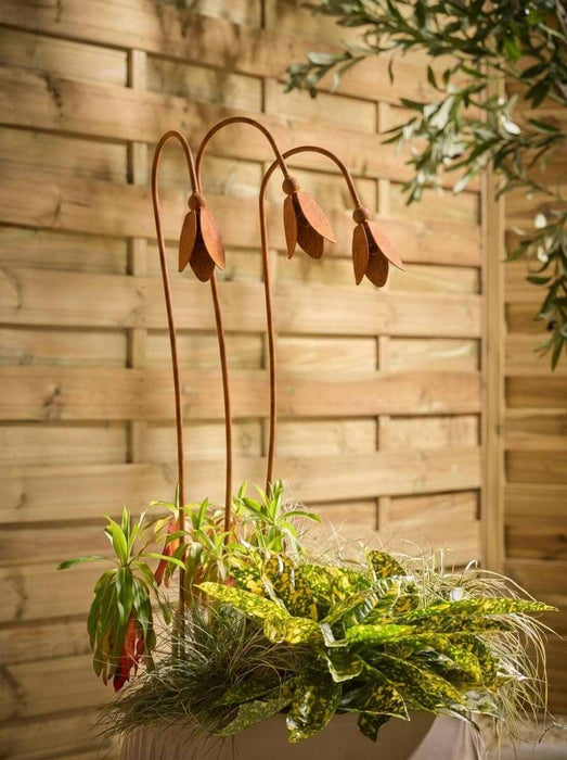 Three Snowdrop Garden Stakes