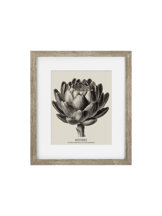 Vintage Globe Artichoke Framed Print