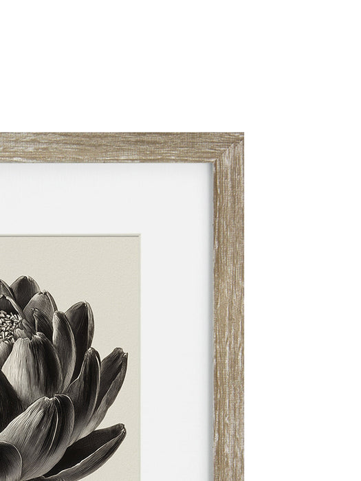 Vintage Globe Artichoke Framed Print