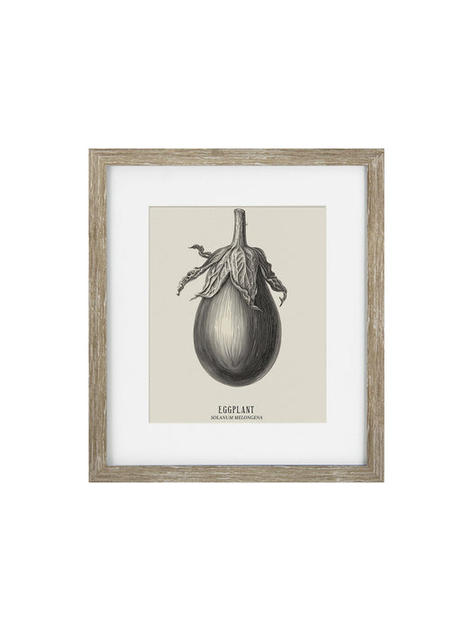 Vintage Vegtables Set of three Framed Prints