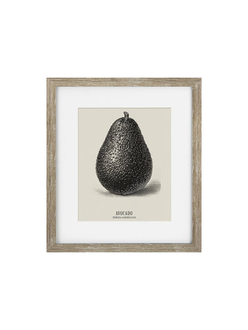 Vintage Avocado Framed Print