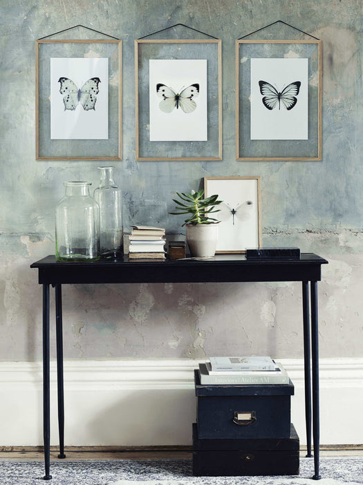 Three Large Framed Butterfly Prints