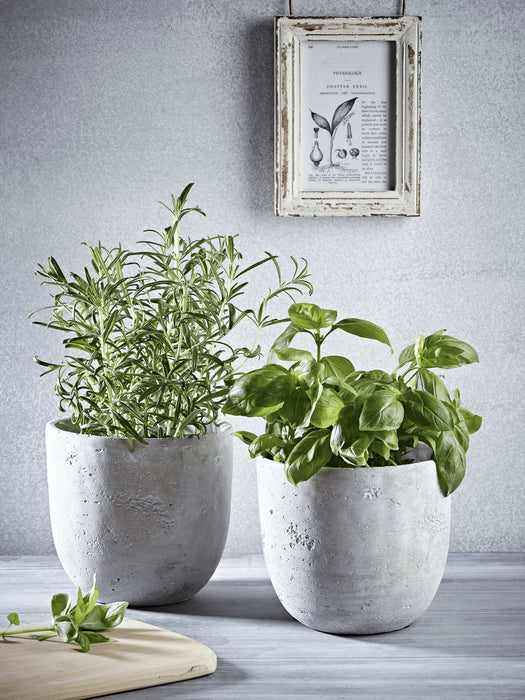 Two Concrete Planters