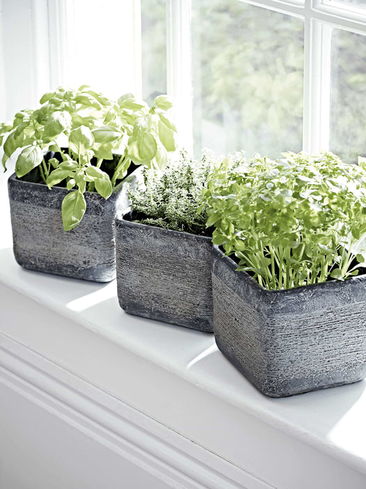 Three Textured Grey Planters