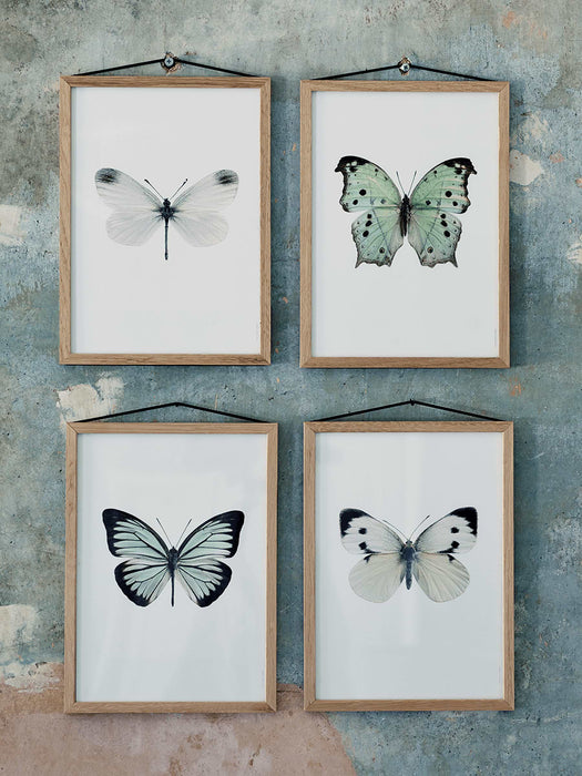 Four Medium Framed Butterfly Prints