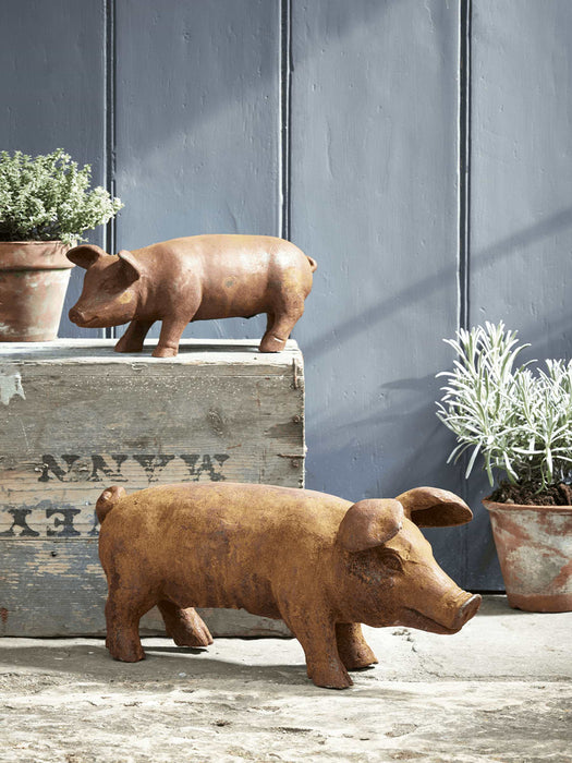 Rusty Pig - Small