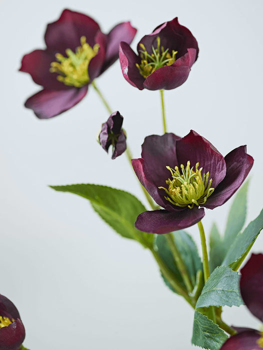 Three Faux Hellebore Sprays