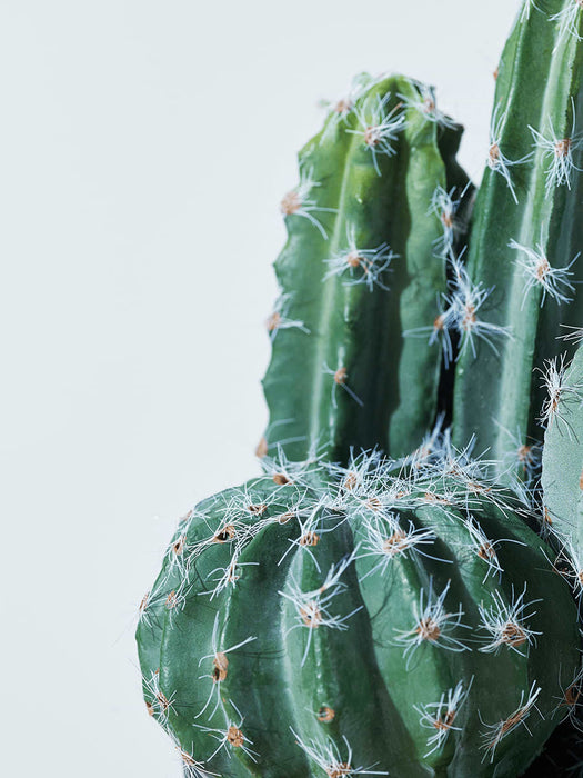 Faux Potted Cactus Cluster