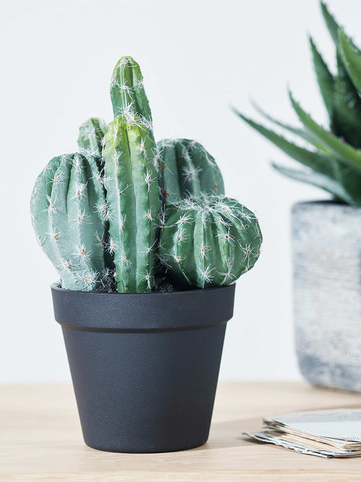 Faux Potted Cactus Cluster