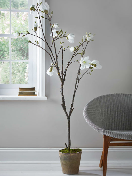 Faux Potted Magnolia Tree