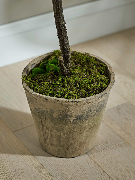 Faux Potted Magnolia Tree