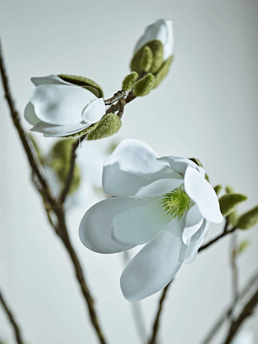 Faux Potted Magnolia Tree