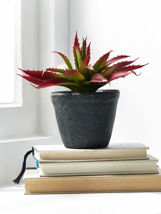 Faux Potted Burgundy Tipped Agave
