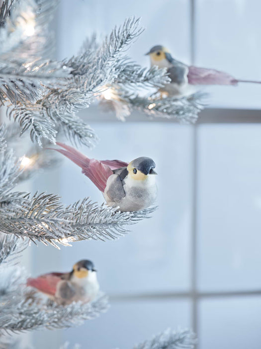 Six Feathered Birds