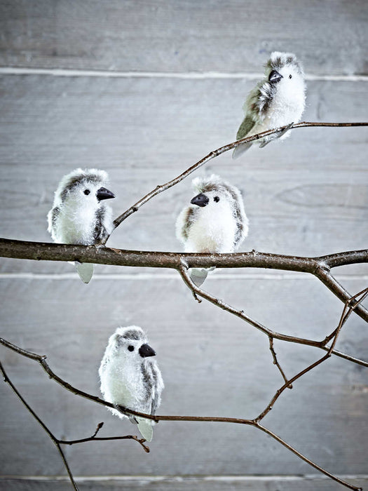 Four Fluffy Bird Clips