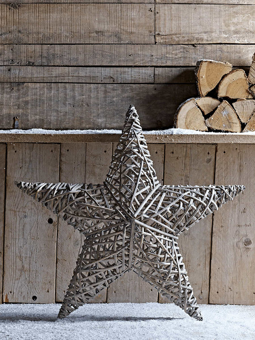 Large Willow Star
